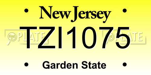 TZI1075 New Jersey License Plate