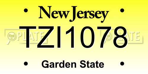 TZI1078 New Jersey License Plate