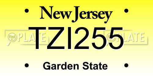 TZI255 New Jersey License Plate