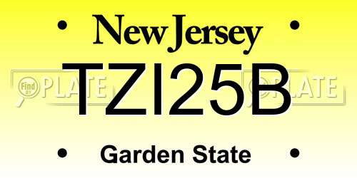 TZI25B New Jersey License Plate