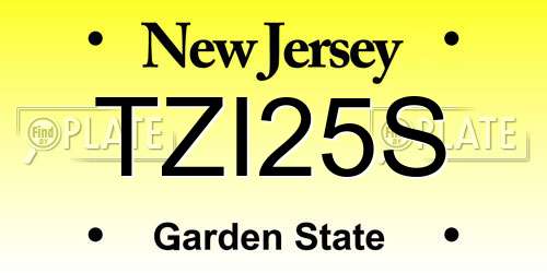 TZI25S New Jersey License Plate