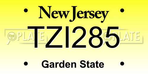 TZI285 New Jersey License Plate