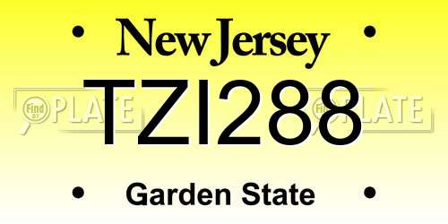 TZI288 New Jersey License Plate