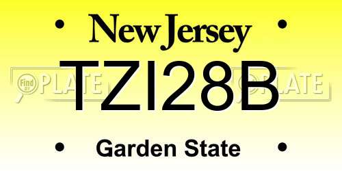 TZI28B New Jersey License Plate