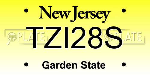 TZI28S New Jersey License Plate