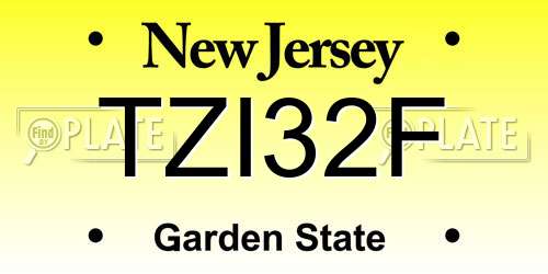 TZI32F New Jersey License Plate