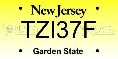 TZI37F New Jersey License Plate