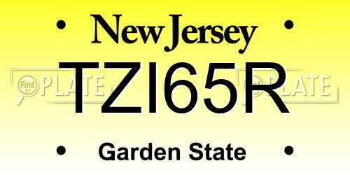 TZI65R New Jersey License Plate