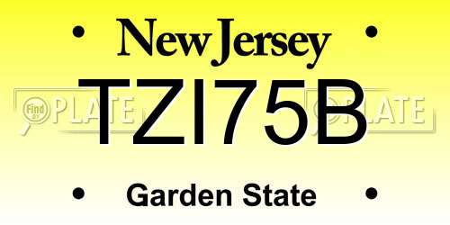 TZI75B New Jersey License Plate
