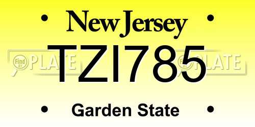 TZI785 New Jersey License Plate