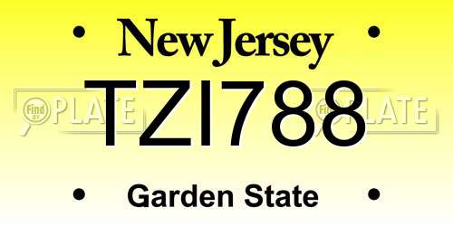 TZI788 New Jersey License Plate