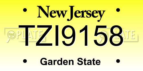 TZI9158 New Jersey License Plate