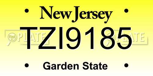 TZI9185 New Jersey License Plate