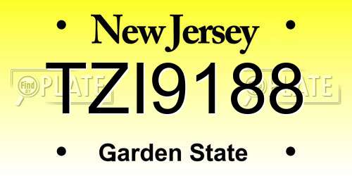 TZI9188 New Jersey License Plate