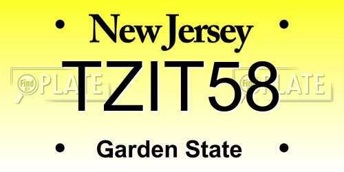 TZIT58 New Jersey License Plate