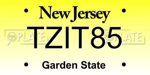 TZIT85 New Jersey License Plate