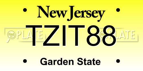 TZIT88 New Jersey License Plate