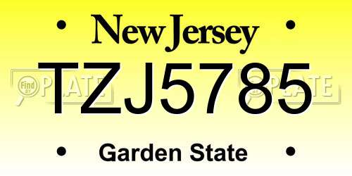 TZJ5785 New Jersey License Plate