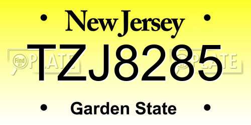 TZJ8285 New Jersey License Plate