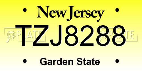 TZJ8288 New Jersey License Plate