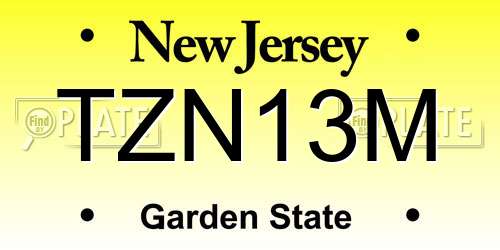 TZN13M New Jersey License Plate