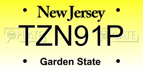 TZN91P New Jersey License Plate