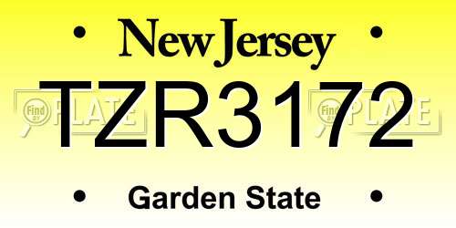 TZR3172 New Jersey License Plate