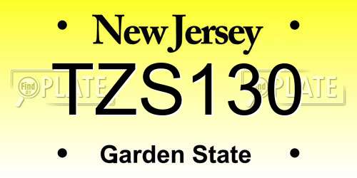 TZS130 New Jersey License Plate