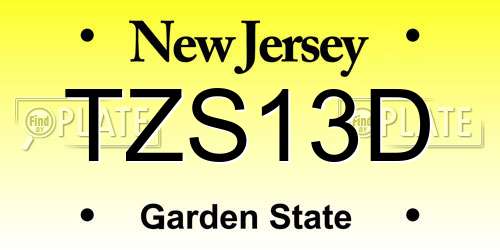 TZS13D New Jersey License Plate