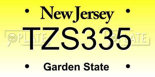 TZS335 New Jersey License Plate