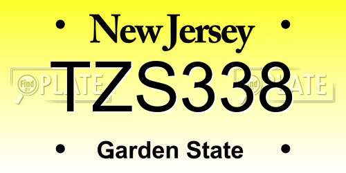 TZS338 New Jersey License Plate
