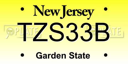 TZS33B New Jersey License Plate
