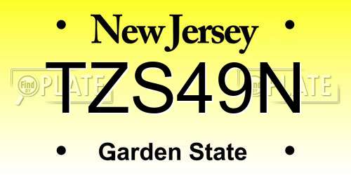 TZS49N New Jersey License Plate