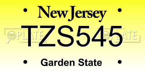 TZS545 New Jersey License Plate