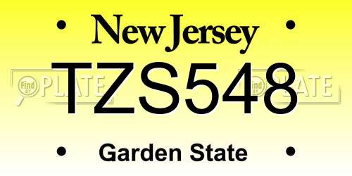 TZS548 New Jersey License Plate