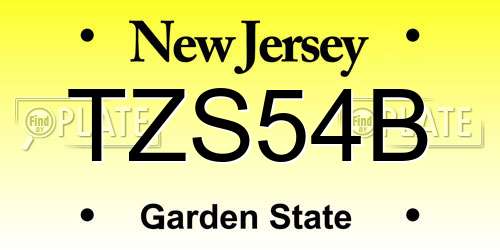 TZS54B New Jersey License Plate
