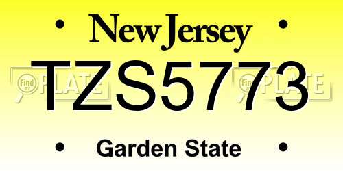TZS5773 New Jersey License Plate