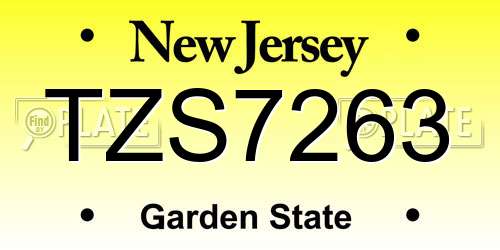 TZS7263 New Jersey License Plate