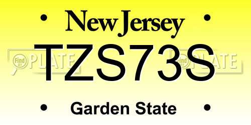 TZS73S New Jersey License Plate