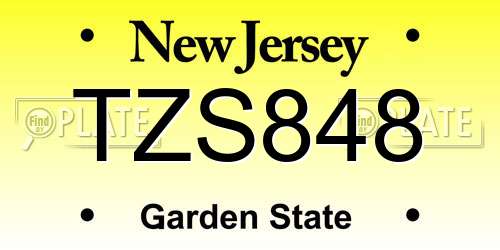 TZS848 New Jersey License Plate