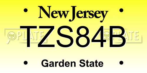TZS84B New Jersey License Plate