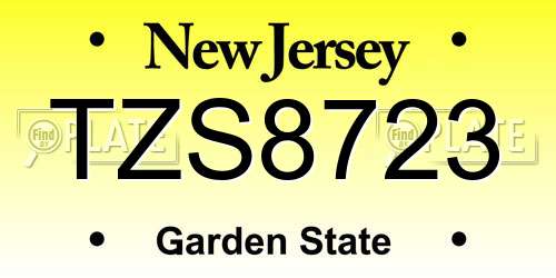 TZS8723 New Jersey License Plate