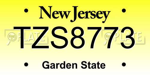 TZS8773 New Jersey License Plate