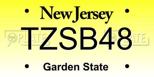 TZSB48 New Jersey License Plate