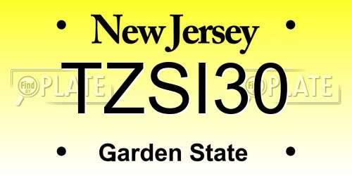 TZSI30 New Jersey License Plate