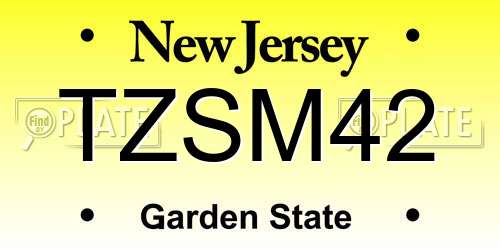 TZSM42 New Jersey License Plate