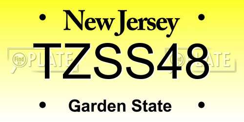 TZSS48 New Jersey License Plate