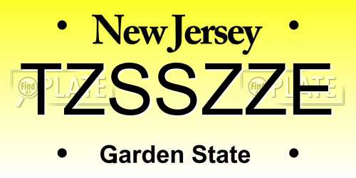 TZSSZZE New Jersey License Plate