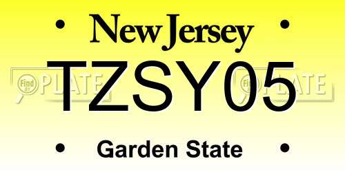 TZSY05 New Jersey License Plate