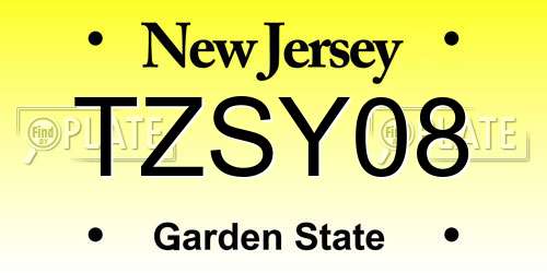 TZSY08 New Jersey License Plate